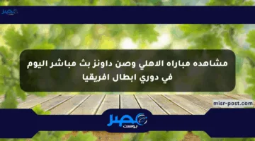 مشاهدة مباراة الأهلي وصن داونز بث مباشر اليوم في دوري أبطال إفريقيا